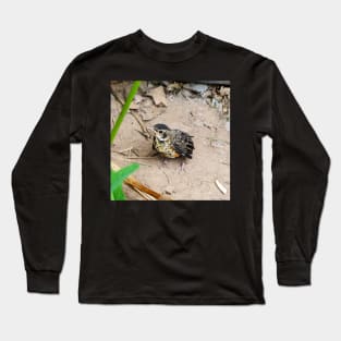 Young American Robin On The Ground Long Sleeve T-Shirt